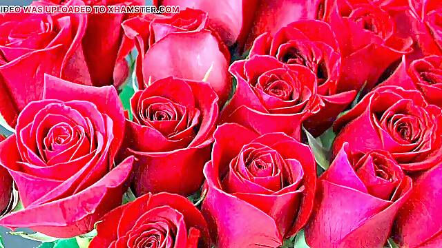 Bangla choto golpo marvelous aunty screw by hasband friend utter story in Bangla audio story new bangla choti golpo