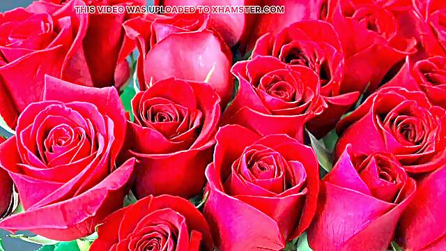 Mature Indian aunty with big natural tits gets down in Bangla style